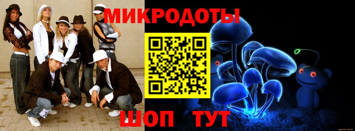 Галлюциногенные грибы Cubensis Кольчугино