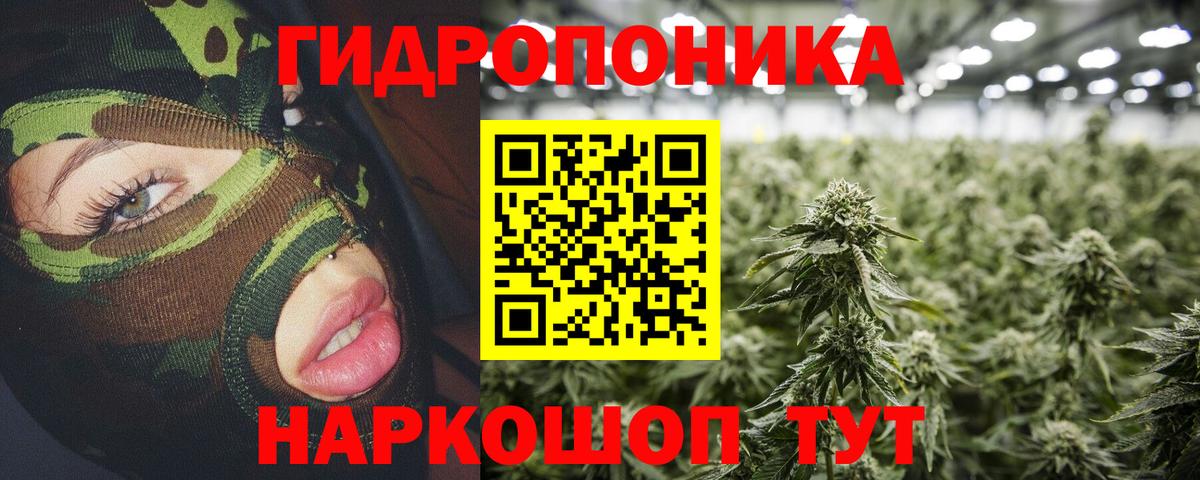 Бошки Шишки конопля  Бошки Шишки тримм  Вход с VPN  Бошки марихуана семена  Кольчугино 
